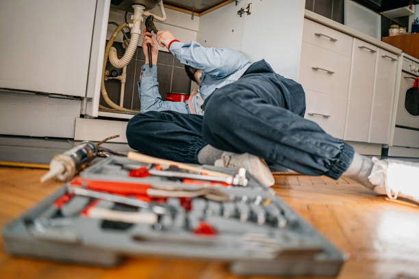 Best Affordable Plumbing Services  in Wlowbrook, IL