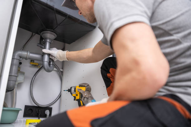  Wlowbrook, IL Plumbing Pros