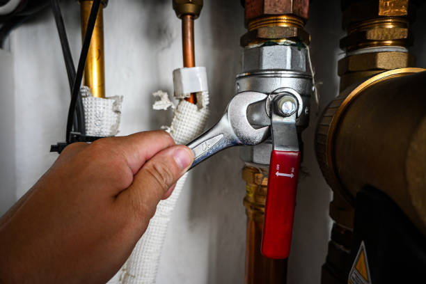 Best Emergency Plumbing Repair  in Wlowbrook, IL